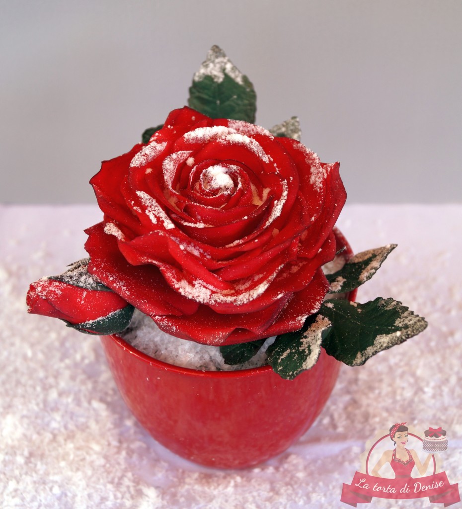 Kurs "Winter-Rose"